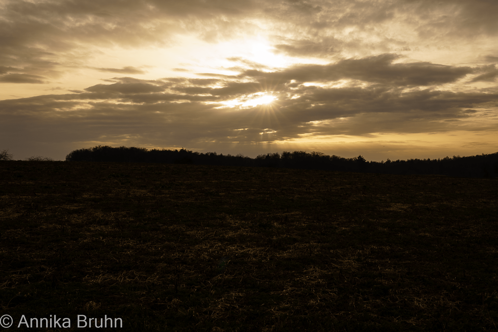 Sonnenuntergang im Frühling